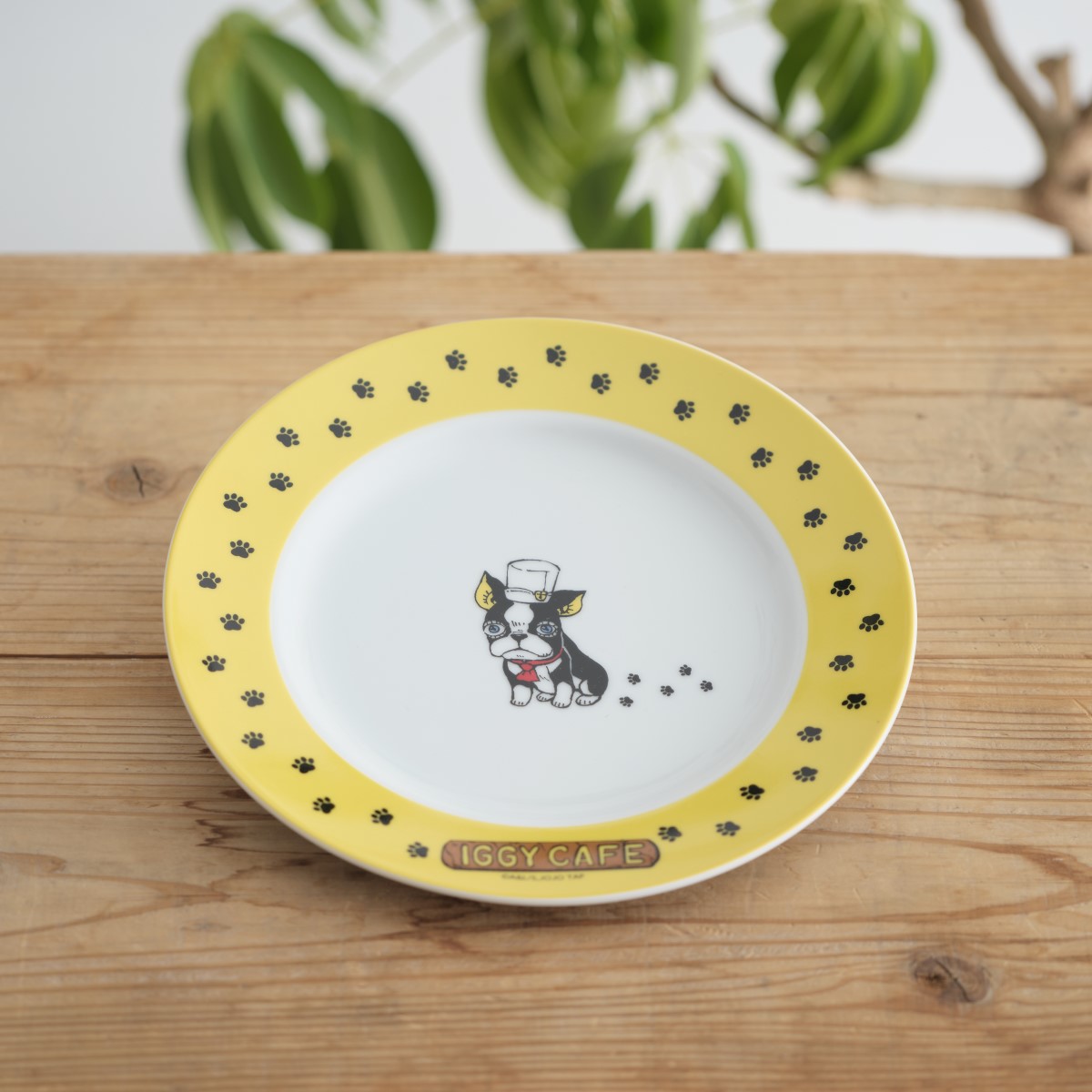 IGGY CAFE プレート イギー JOJO WORLD 2個セット 9月19日発売新商品紹介ッ！】 ＼「IGGY CAFE」プレート／ 「IGGY CAFE