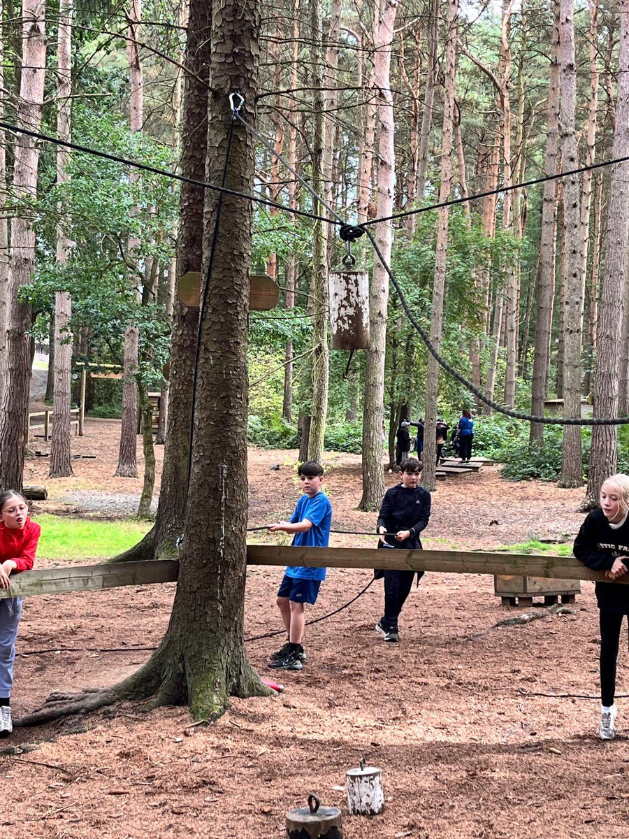 PCPPenguins's tweet image. Solving puzzles!