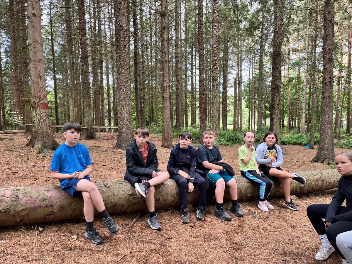 PCPPenguins's tweet image. Solving puzzles!