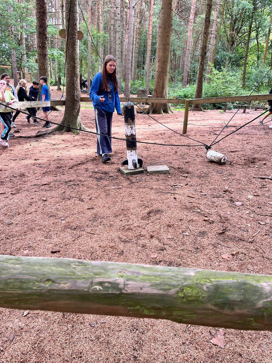 PCPPenguins's tweet image. Solving puzzles!