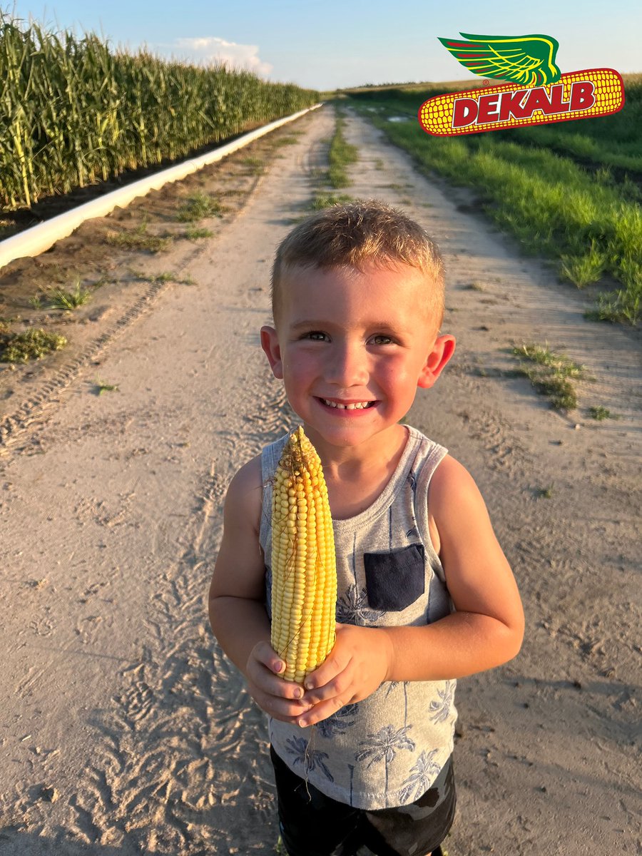 🌽 Farm Kid Friday featuring DEKALB 108-64 and smiles as big as the yield!

<a href="/Asgrow_DEKALB/">DEKALB Asgrow Seed</a>