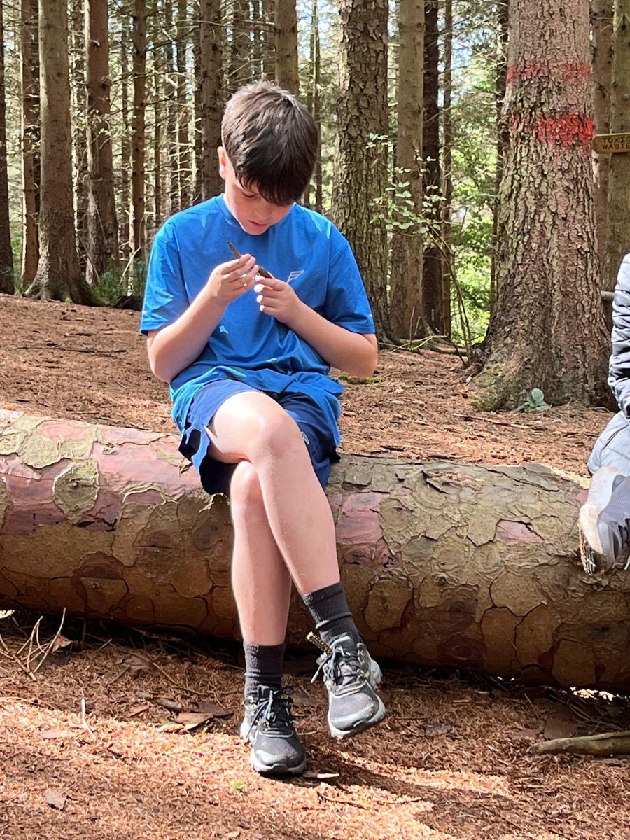 PCPPenguins's tweet image. Solving puzzles!