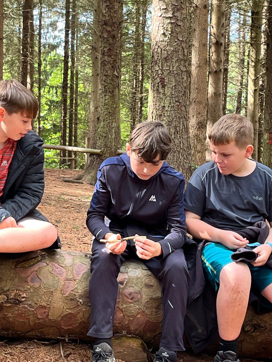 PCPPenguins's tweet image. Solving puzzles!