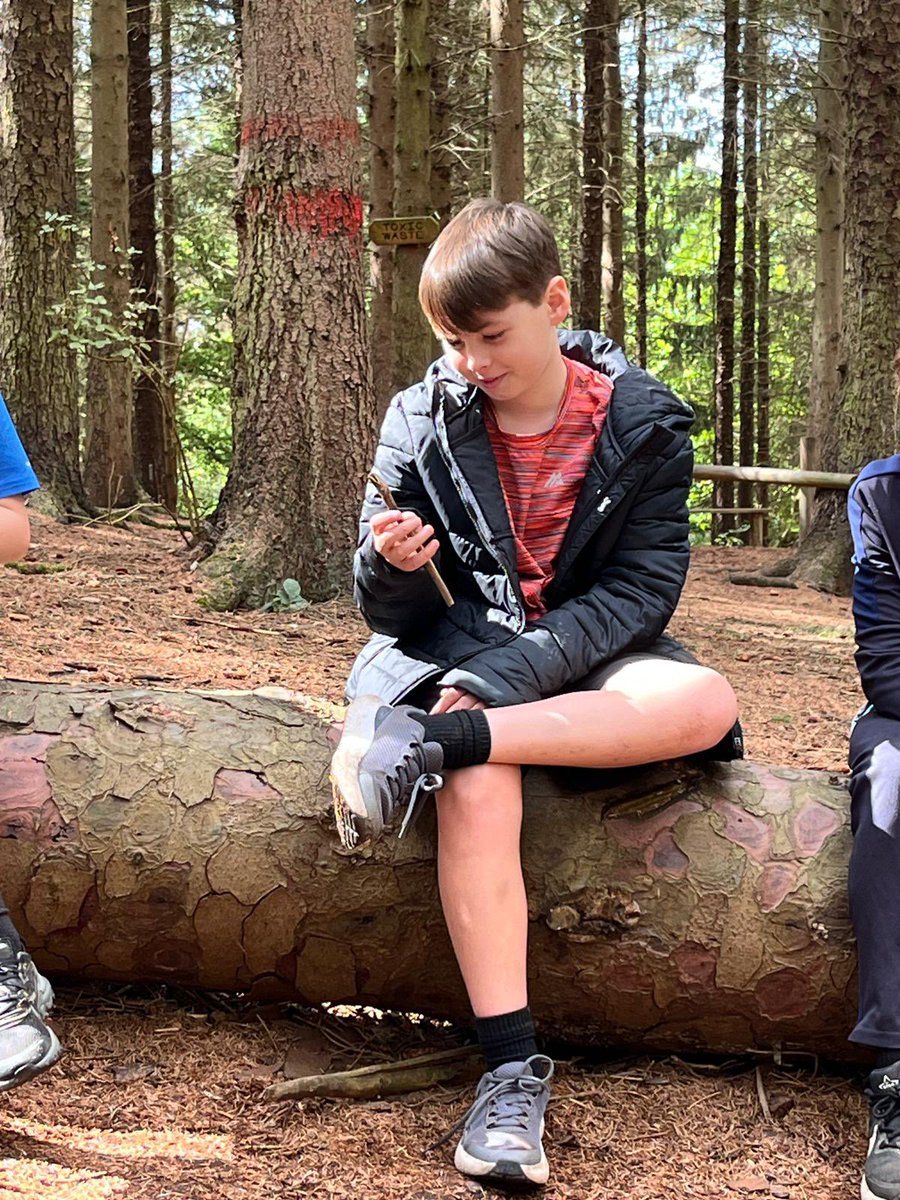 PCPPenguins's tweet image. Solving puzzles!