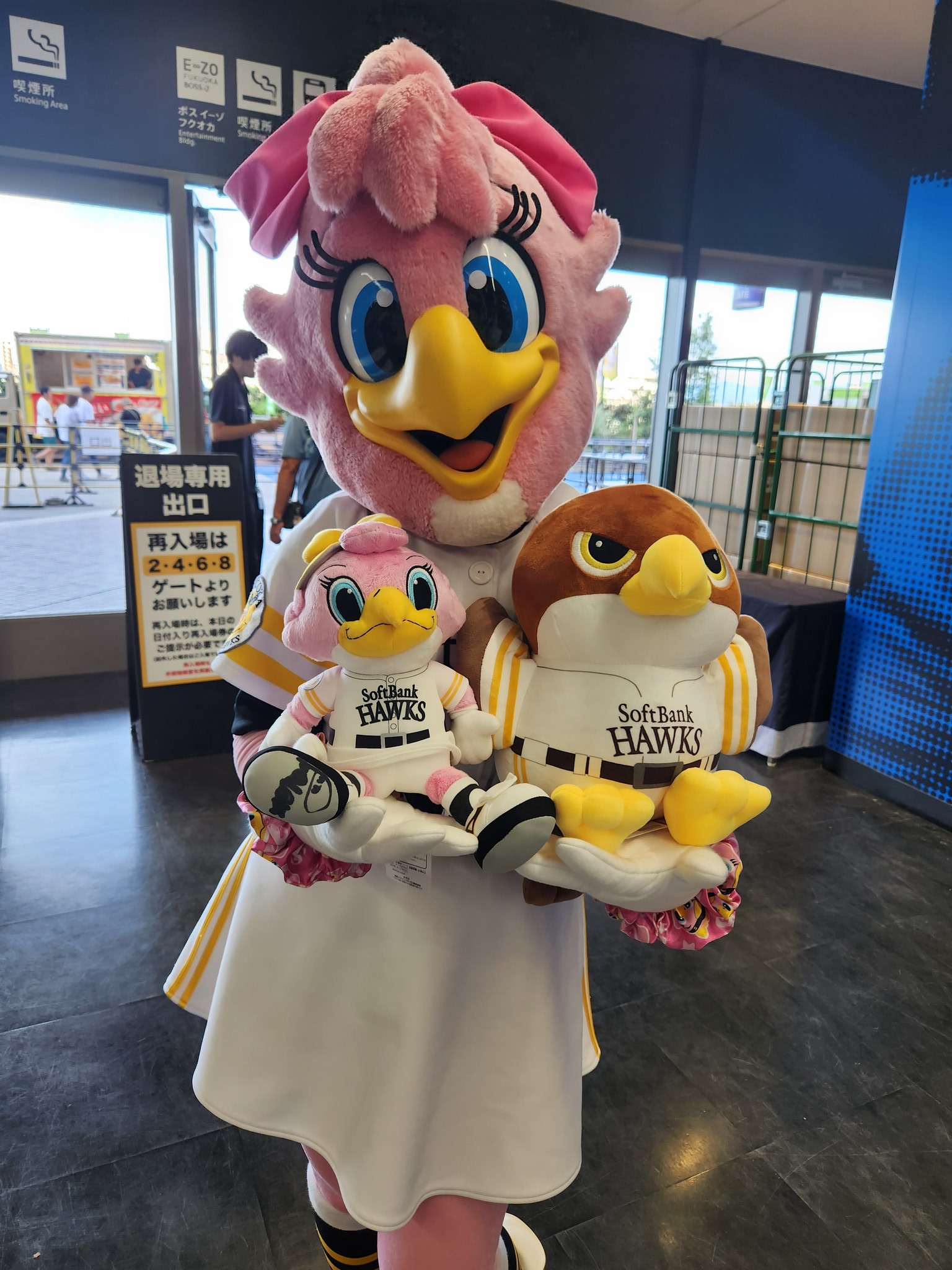 タカぬいぐるみ　高さ約30㎝　中　非売品　福岡ソフトバンクホークス　鷹ぬいぐるみ タカぬいぐるみ 高さ約30㎝ 中 非売品 福岡ソフトバンクホークス