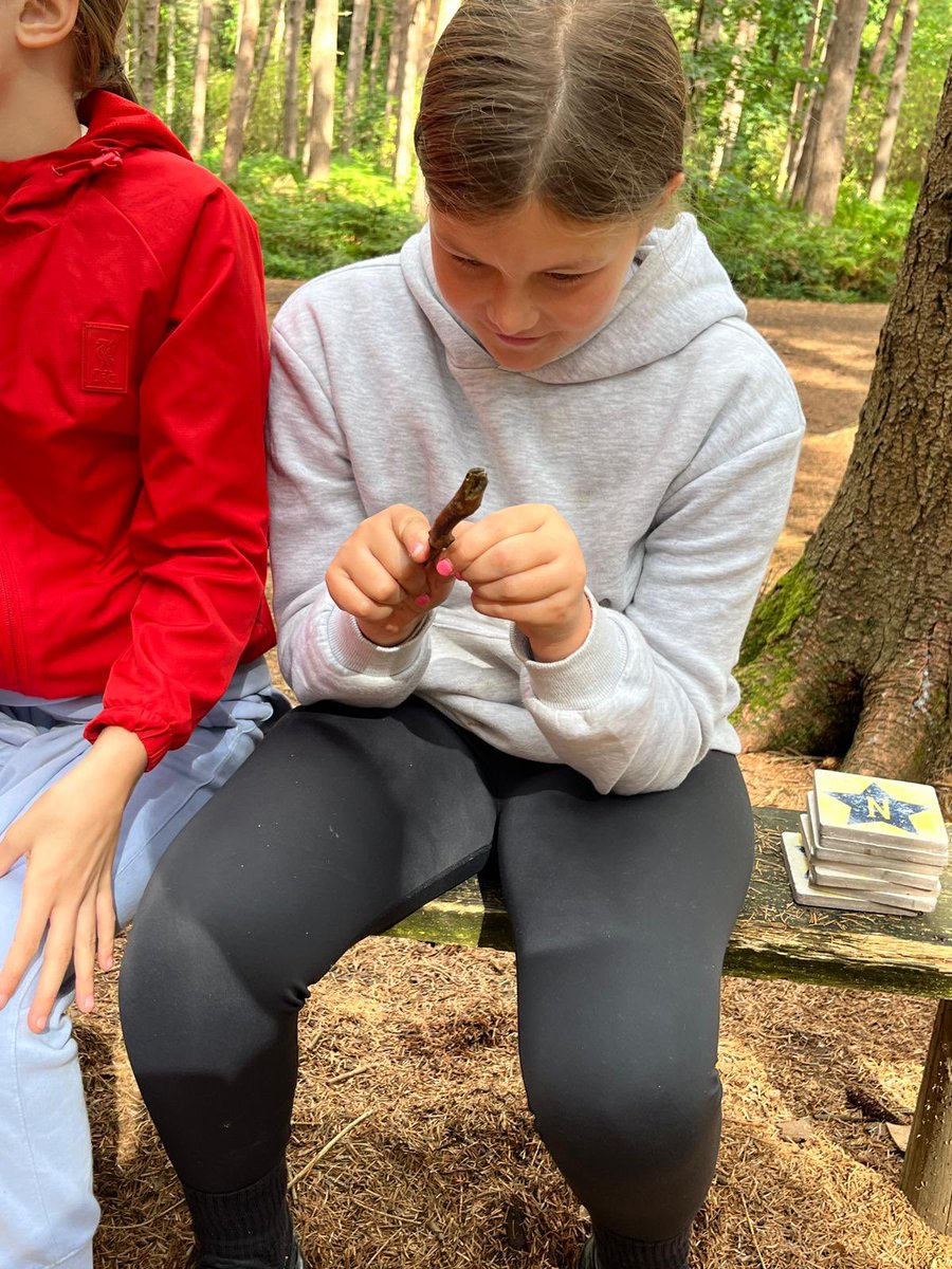 PCPPenguins's tweet image. Solving puzzles!