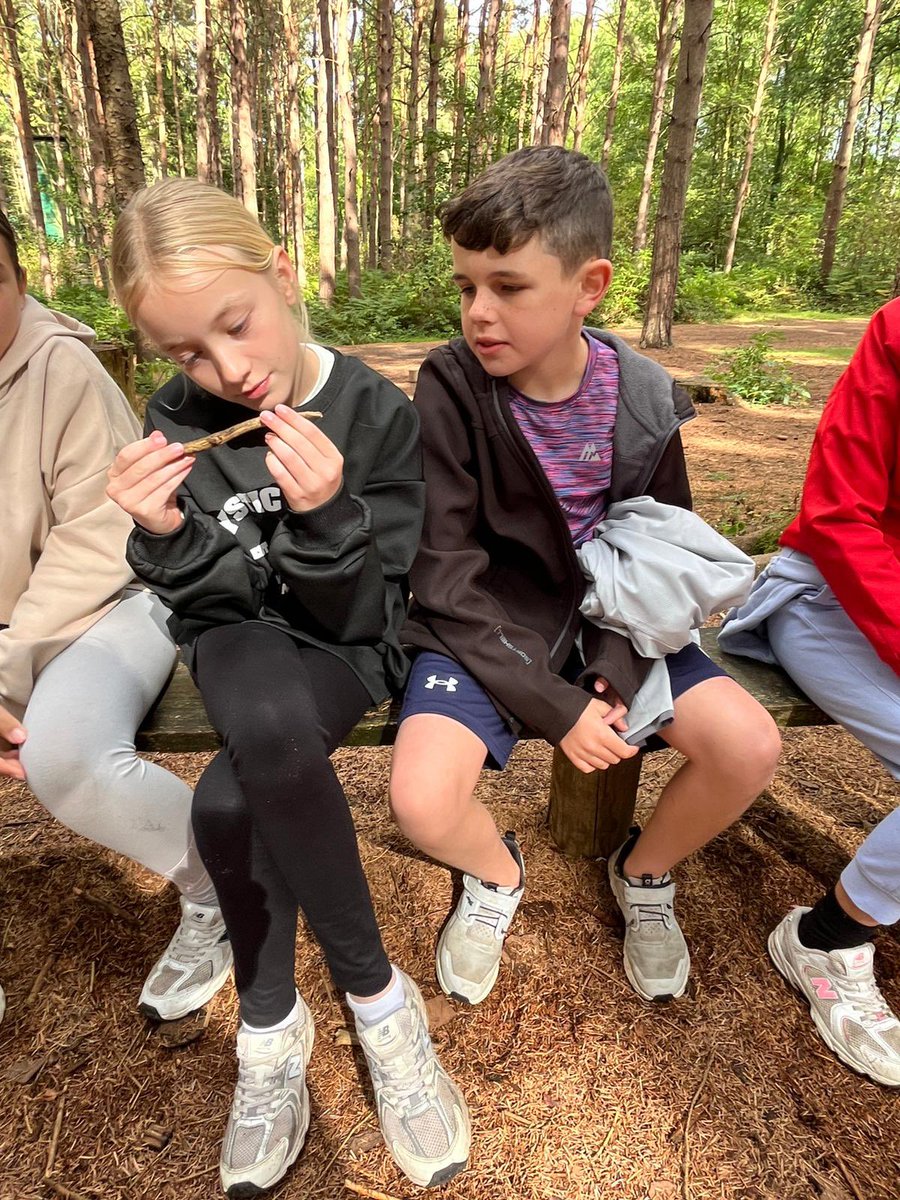 PCPPenguins's tweet image. Solving puzzles!