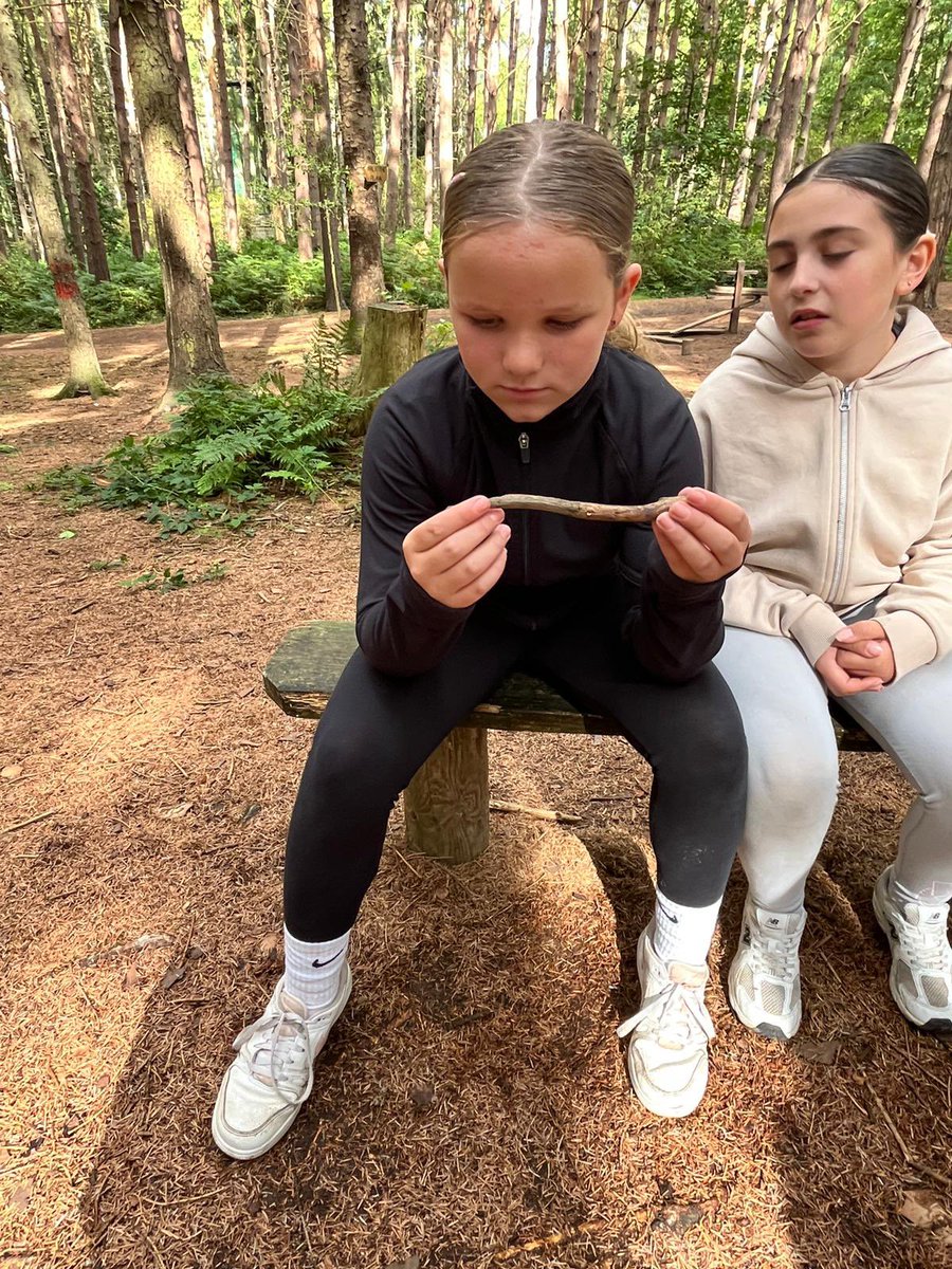 PCPPenguins's tweet image. Solving puzzles!