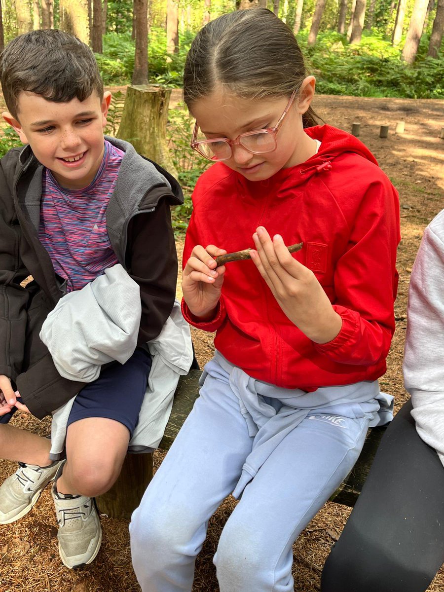 PCPPenguins's tweet image. Solving puzzles!