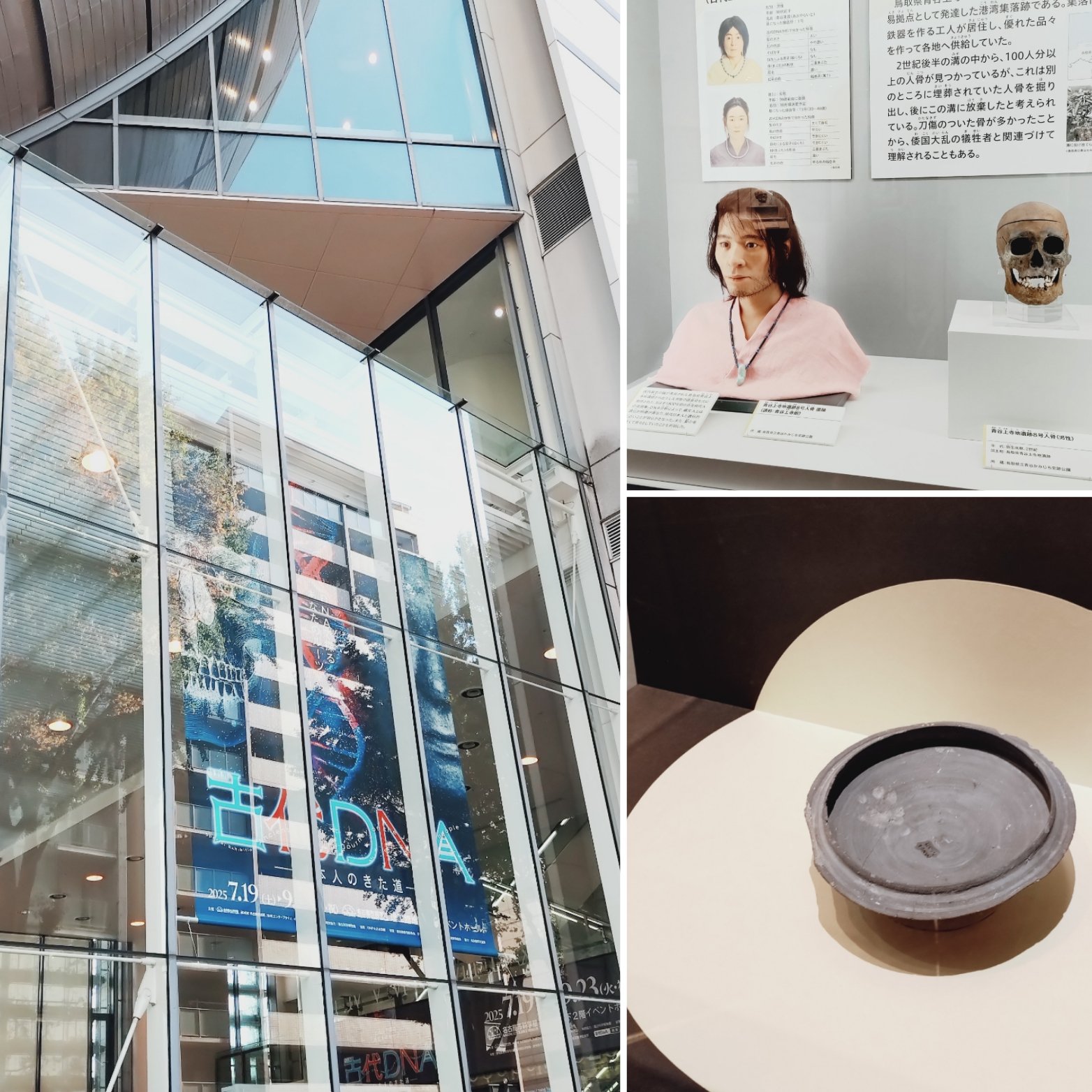 yuyuたん Lin Yun Ju, amazing player of Shandong Weiqiao - YouTube