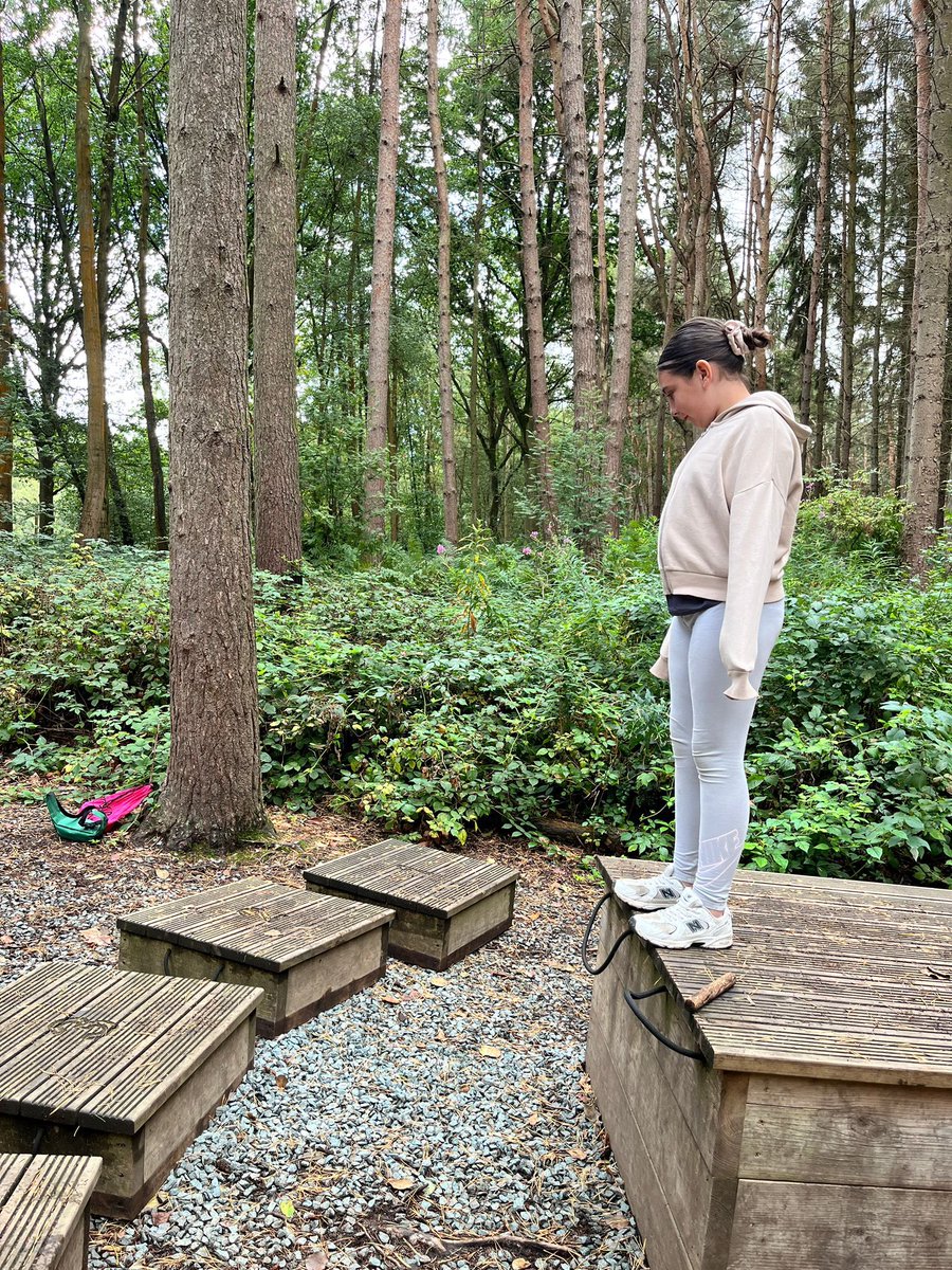 PCPPenguins's tweet image. Solving puzzles!