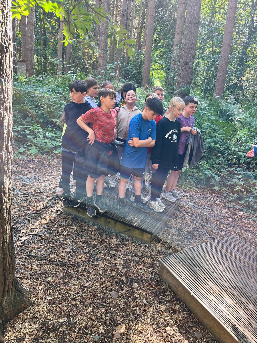 PCPPenguins's tweet image. Solving puzzles!