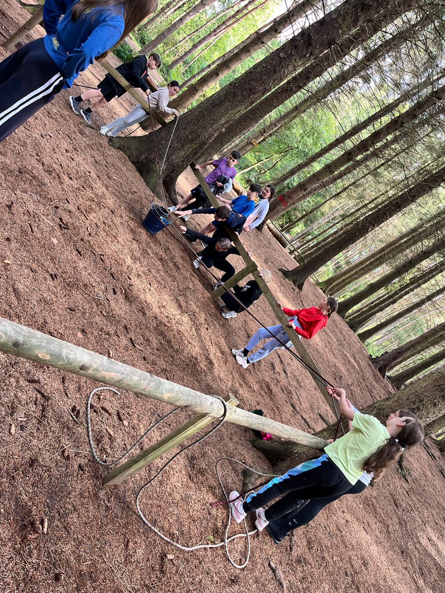 PCPPenguins's tweet image. Solving puzzles!