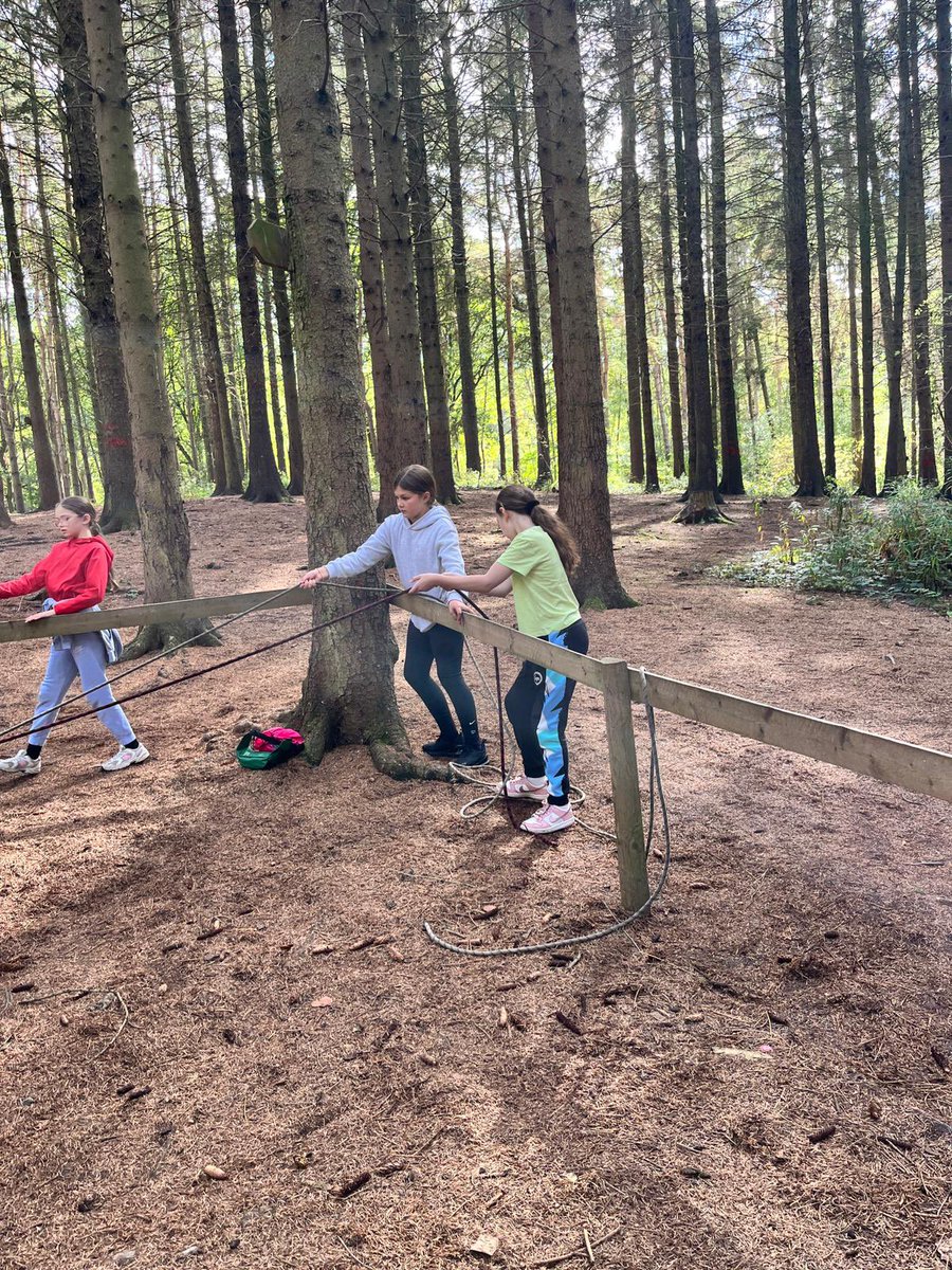 PCPPenguins's tweet image. Solving puzzles!