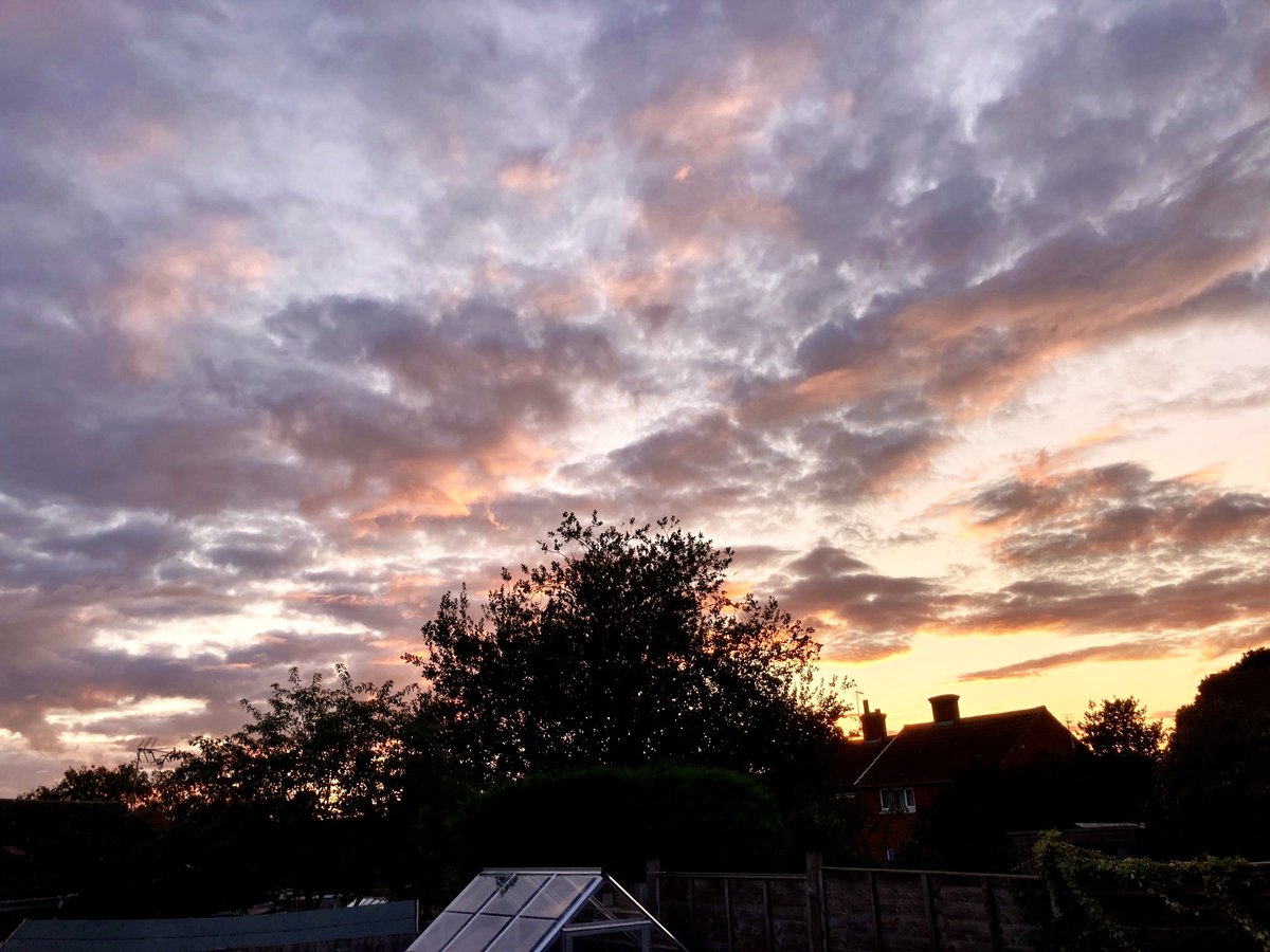 Sue Pleb Leam tweet media