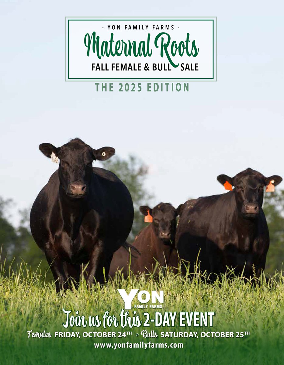 View sale book online: angus.to/yonfamilyfarms…