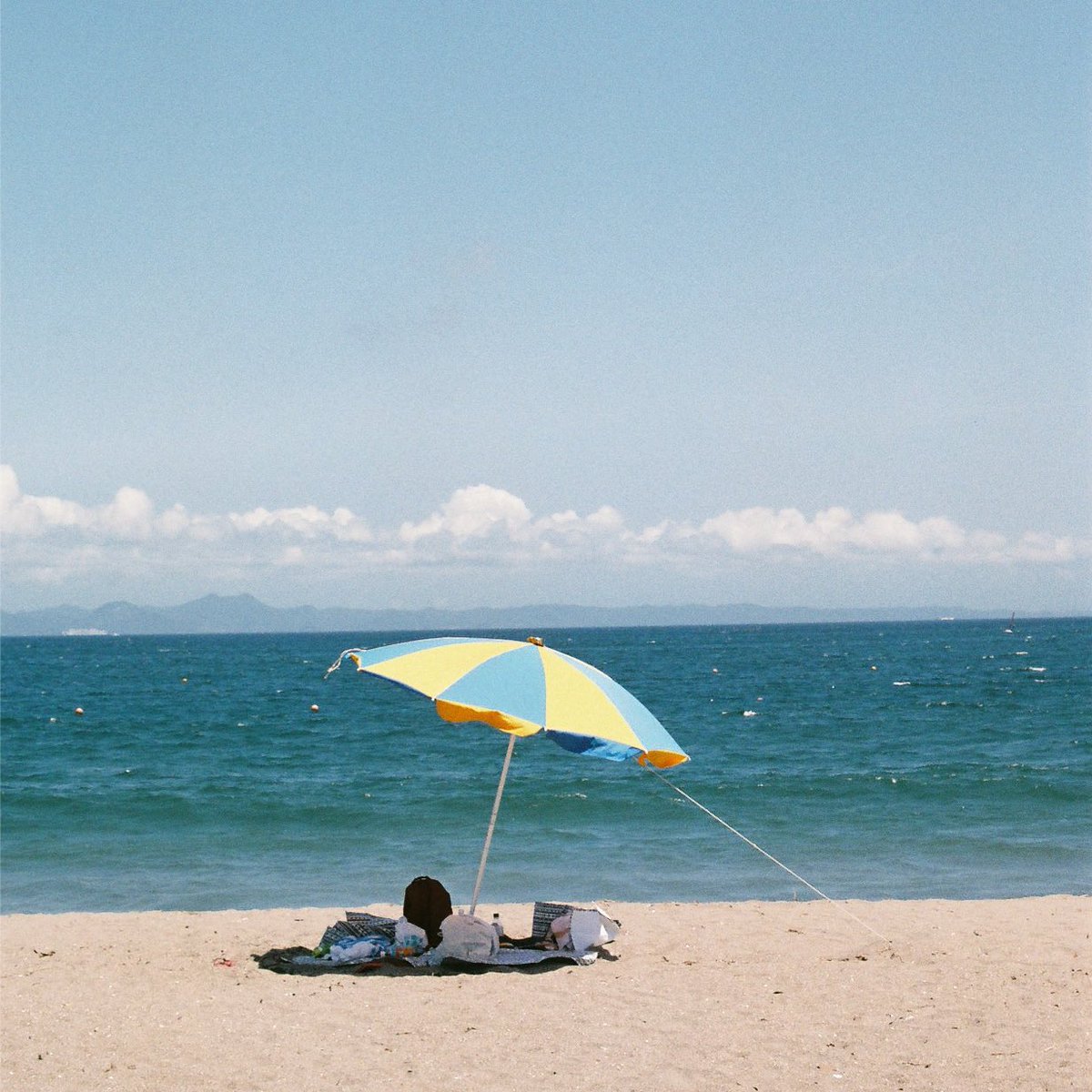 YDO2438's tweet image. 【🌻爆散願：『結燦々』配信開始🌻】

2025年9月5日（金）
ヤスエでんじゃらすおじさん
5th digital single『結燦々』

lnk.to/5kkwjb

Vo.：YDO
Gt.：及川晃治
Key.：カメダタク
Ba.：飯田裕
Cho.：桑原渉
Dr. Perc. Cho.：イトマン
Mixed &amp;amp; Mastered：伊藤秀樹（studiofreeslow）

✨夏✨