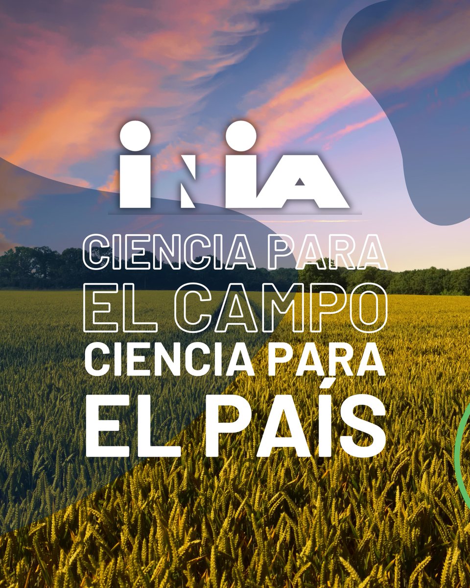 👋¡Abrimos las puertas de nuestro stand en <a href="/ExpoPrado/">Rural del Prado</a>! Este año lo convertimos en una sala de mapping y sonido envolvente para contarte cómo la ciencia contribuye a que el agro sea más resiliente. 
📅¡Te esperamos hasta el domingo 14 de setiembre!

👉Nota: inia.uy/noticias/inia-…