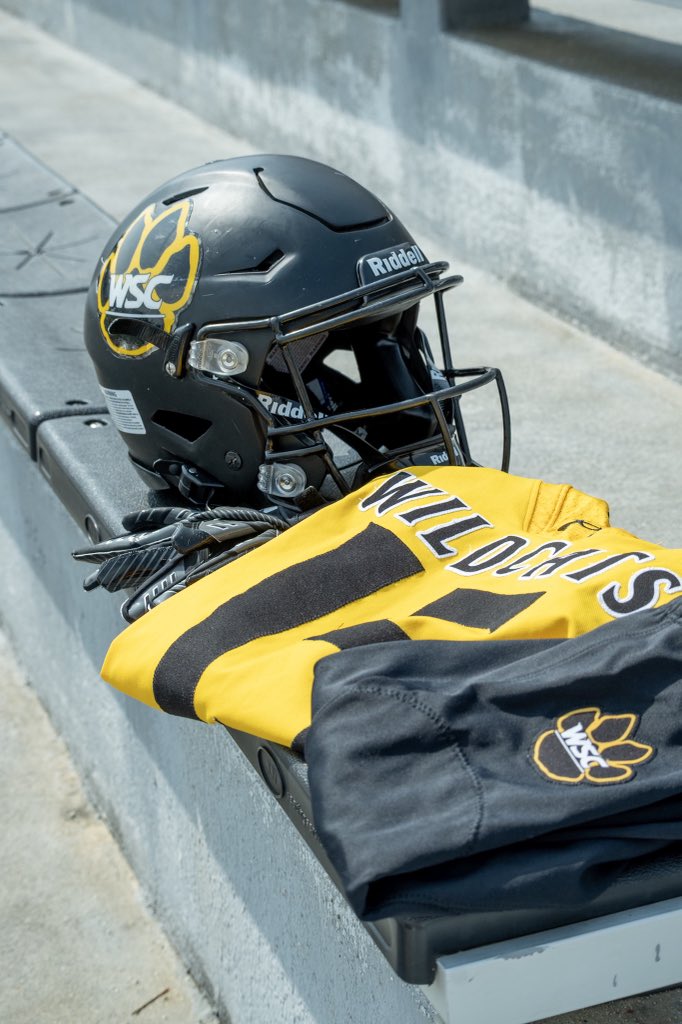 Wayne State Football tweet media