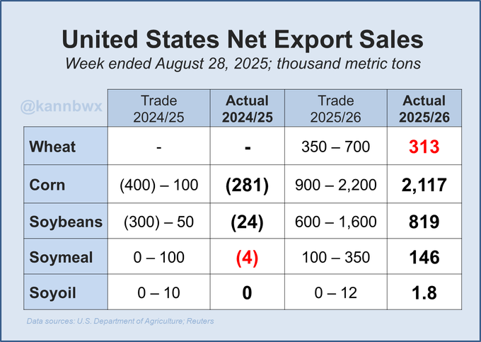A table displaying United States net export sales for the week ended August 28, 2025, in thousand metric tons. Columns include Trade 2024/25, Actual 2024/25, Trade 2025/26, and Actual 2025/26 for commodities like Wheat, Corn, Soybeans, Soymeal, and Cotton. Numerical values are shown, with some in parentheses indicating negative figures. A watermark from the U.S. Department of Agriculture appears at the bottom.