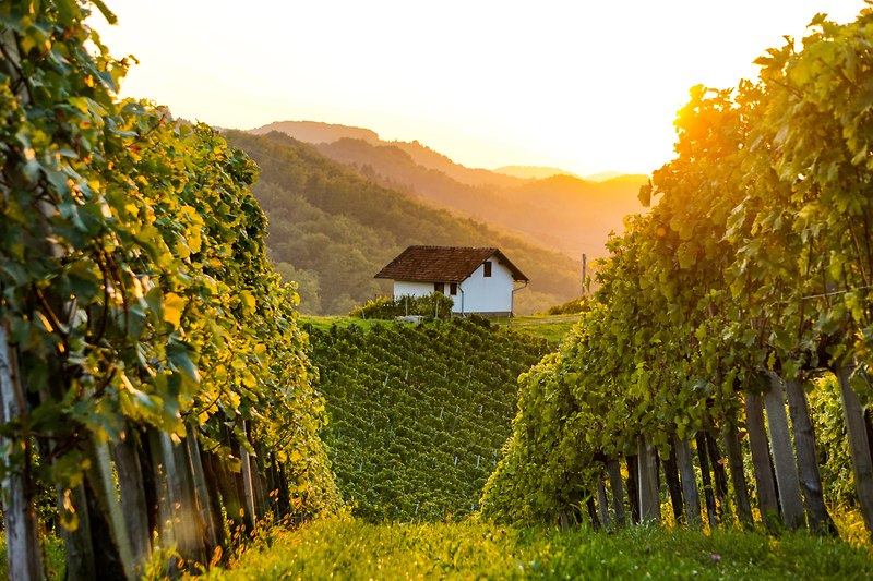 Slovenia Weekly: Awareness of responsibility

gov.si/en/slovenia-we…

Wish to learn more about Slovenia? Subscribe to Slovenia Weekly Newsletter  gov.si/en/slovenia-we…