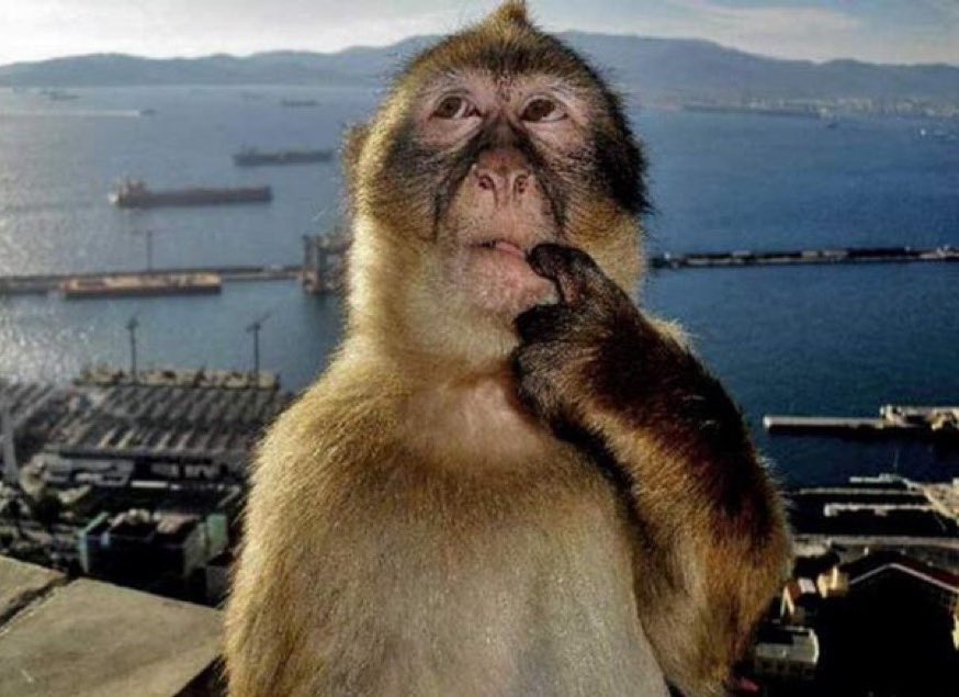le sserafim’s engagement been crazy lately… SSERAVILLE IS SO BACKKKK