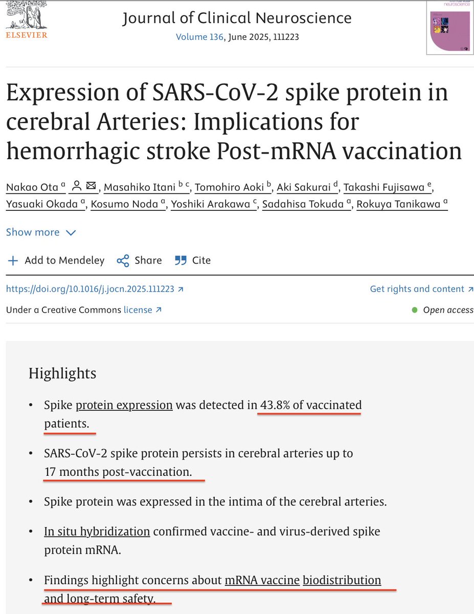 In case you're wondering what safety studies fired CDC Director Susan Monarez didn't want ACIP to look at:

"Spike protein expression was detected in 43.8 % of vaccinated patients, predominantly localized to the intima of cerebral arteries, even up to 17 months post-vaccination."