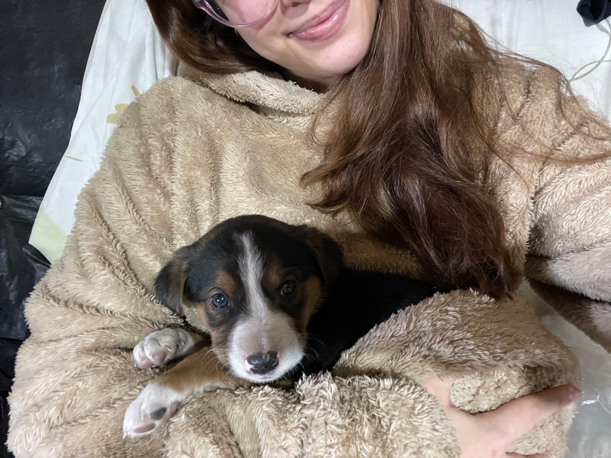 ME REGALO UN PERRITO😭❤️‍🩹
