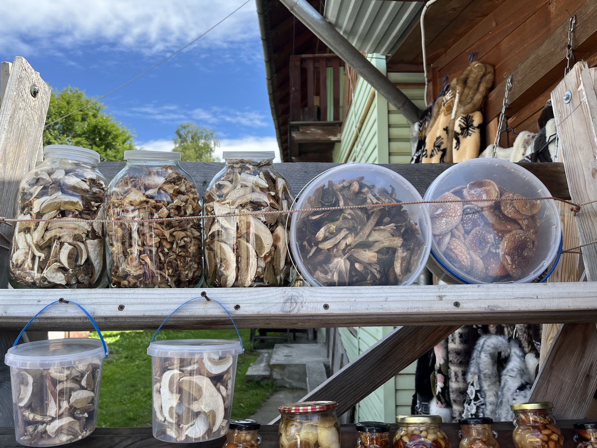 I bought some dried mushrooms in the Ukrainian Carpathians, but not the ones in the tub on the right, this isn't a fairy tale 🍄