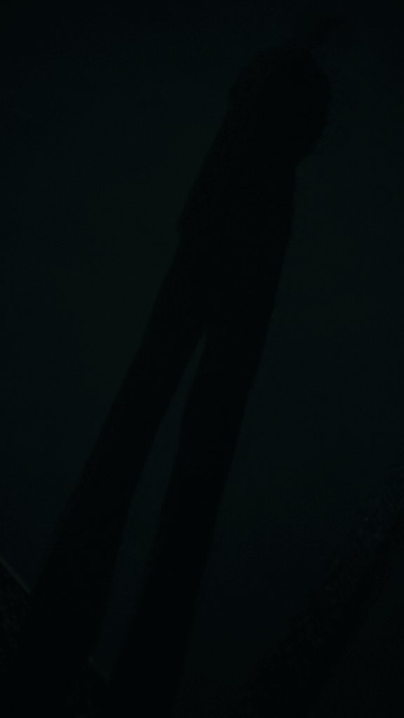 夜中とは思えないくらい明るい
月明かりで影が映る(街灯なしの田舎