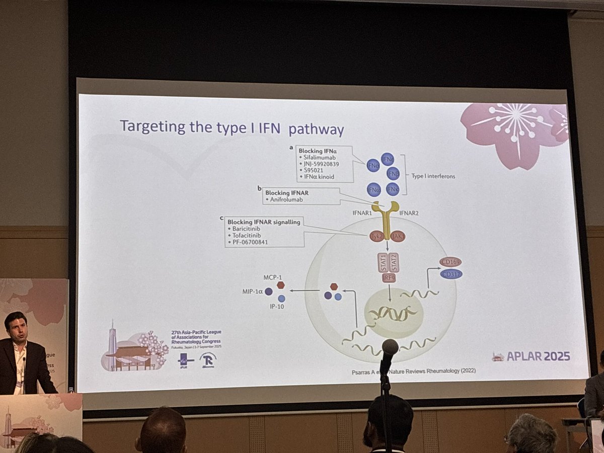 ori_114's tweet photo. Day1 #aplar25 from #AYR #EMEUNET #JSTAR collaborative session 🔥
Thank you @AntonyPsarras @EMEUNET
#typeIIFN #lupus #SLE https://t.co/NiQ1uoBV1S
