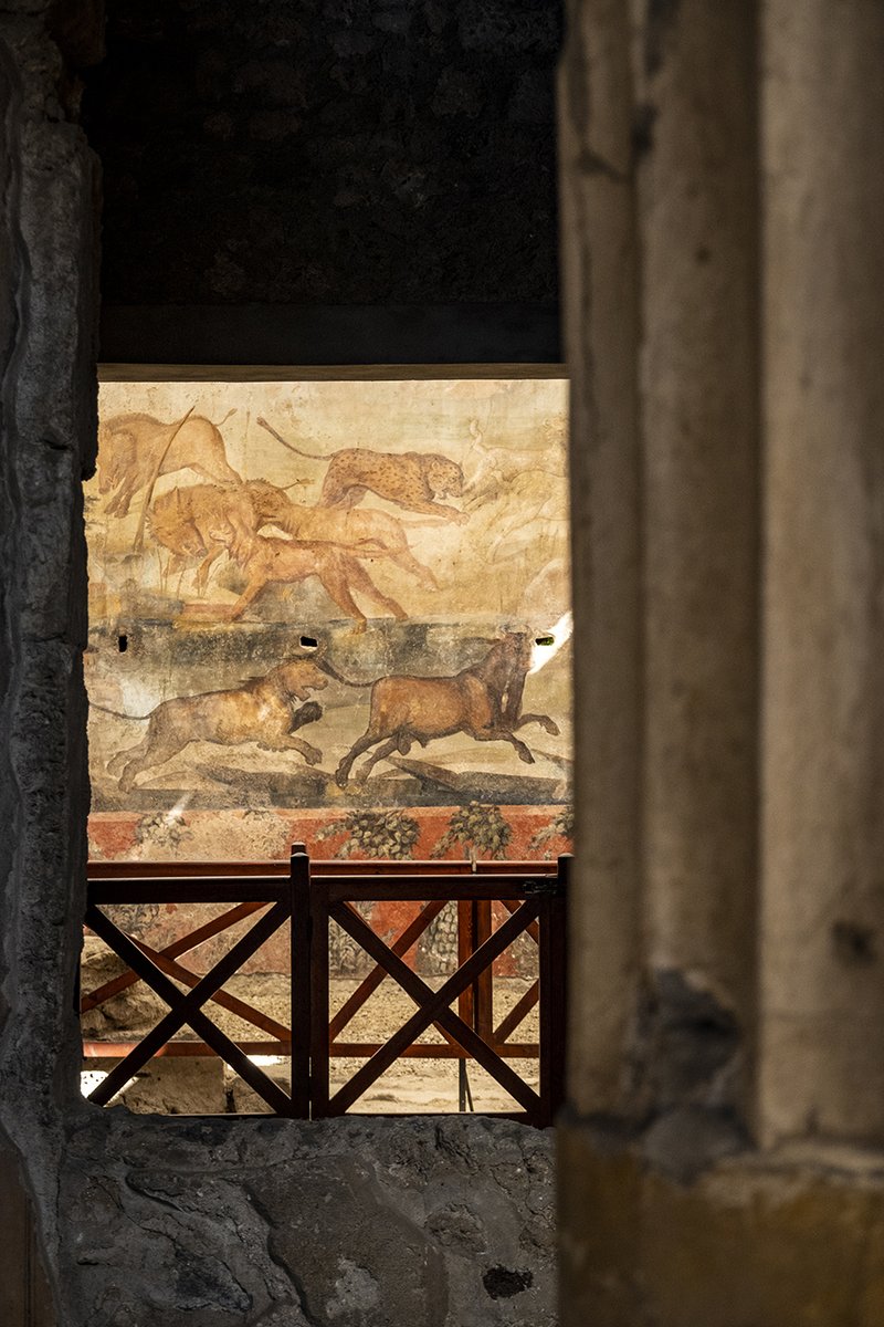 Pompei, casa dei Ceii