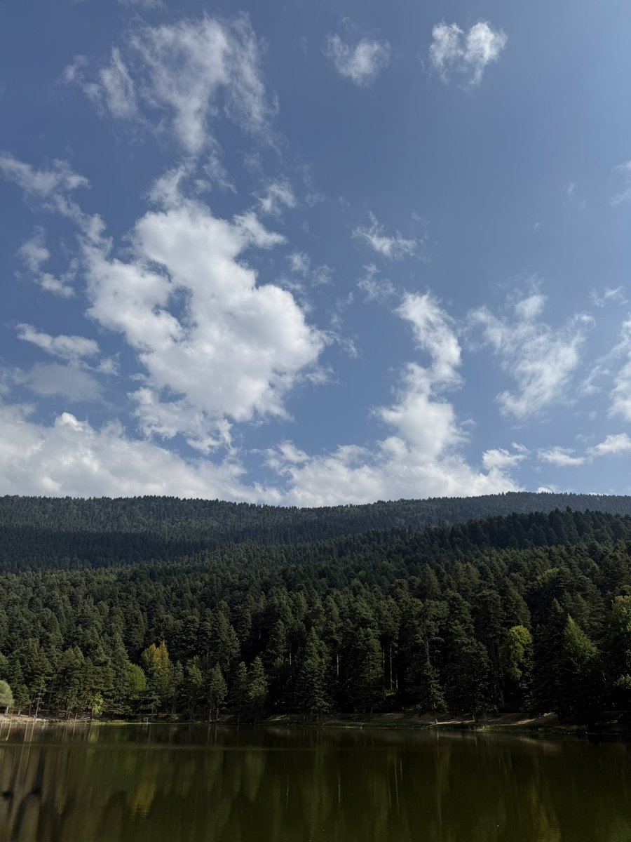 zhfidan's tweet photo. Gönül memleketi🌿 https://t.co/iVMT9cx7k3