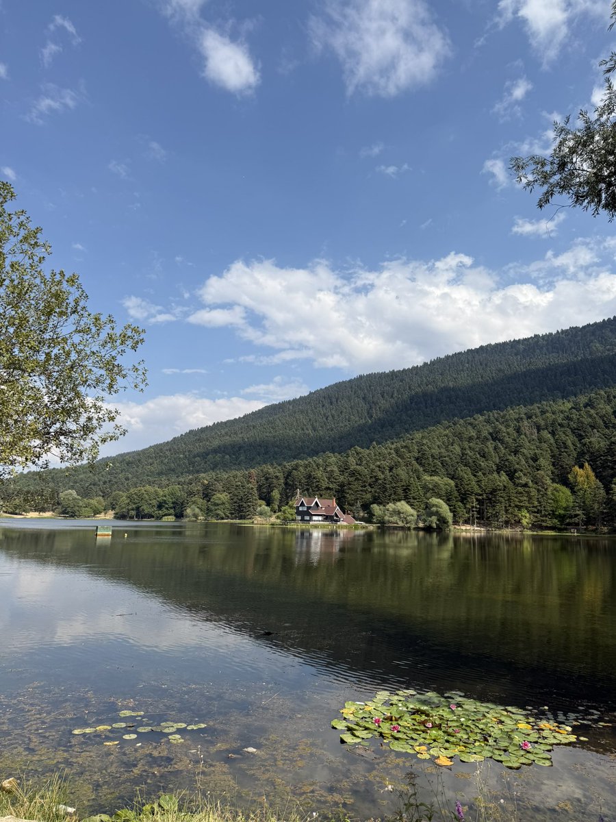 zhfidan's tweet photo. Gönül memleketi🌿 https://t.co/iVMT9cx7k3