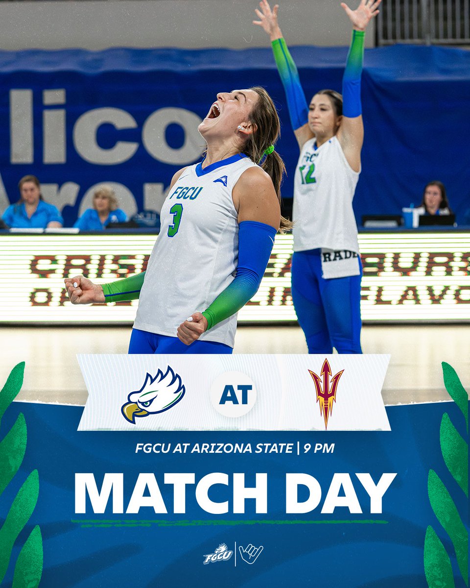 FGCU Volleyball tweet media