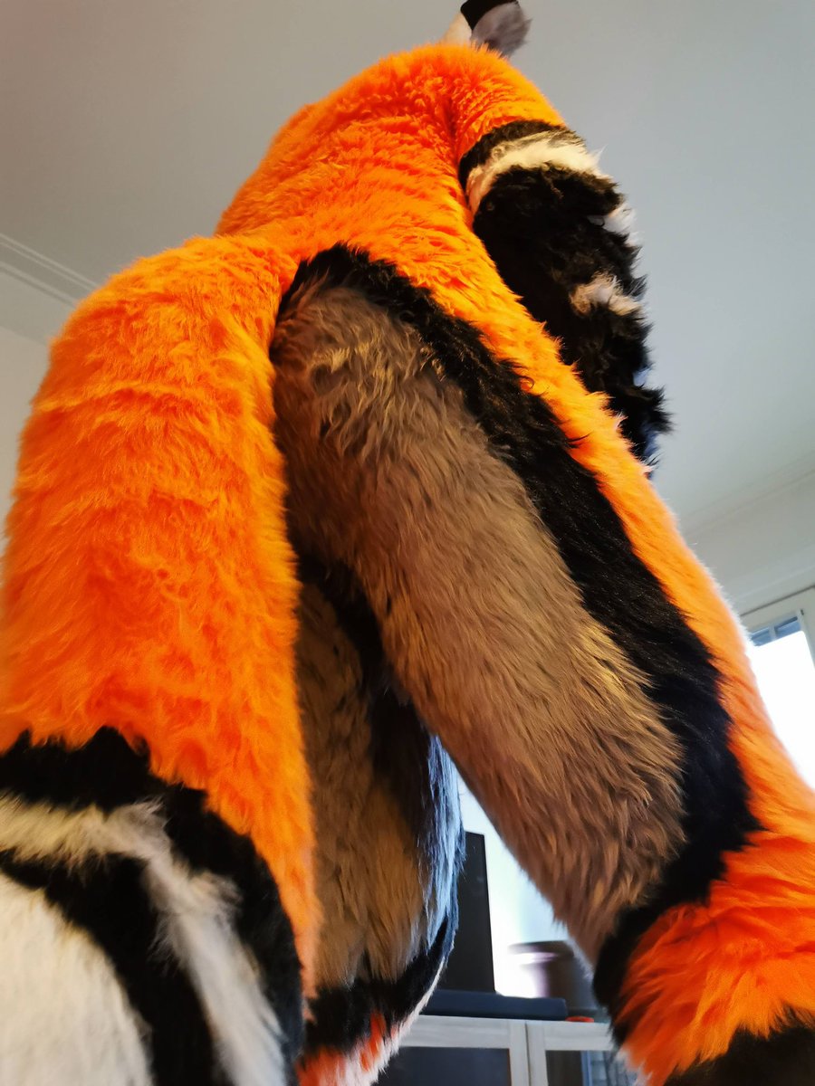 Corvus Fox tweet media