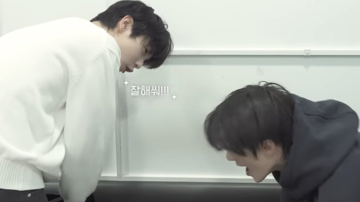 <내말티즈랑>, <자 강아지 일로 와> 이런 명대사 남기신 프로견주님은 리얼강아지 대할 때랑 밤아지 대할 때가 똑같다