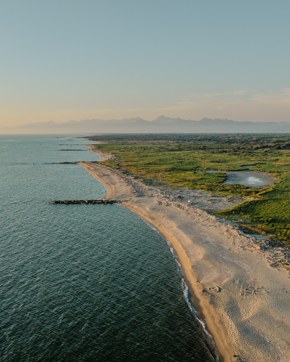 Sand dunes, centuries-old pine forests, Mediterranean scrub, beaches literally surrounded by nature: <a href="/parcomsrm/">Parco Migliarino San Rossore Massaciuccoli</a> is located in <a href="/TerrediPisa/">Terre di Pisa</a> and is part of the UNESCO Biosphere Reserve.
bit.ly/MigliarinoSanR…

📸 Francesco Mazzei (@Franksyphotos)