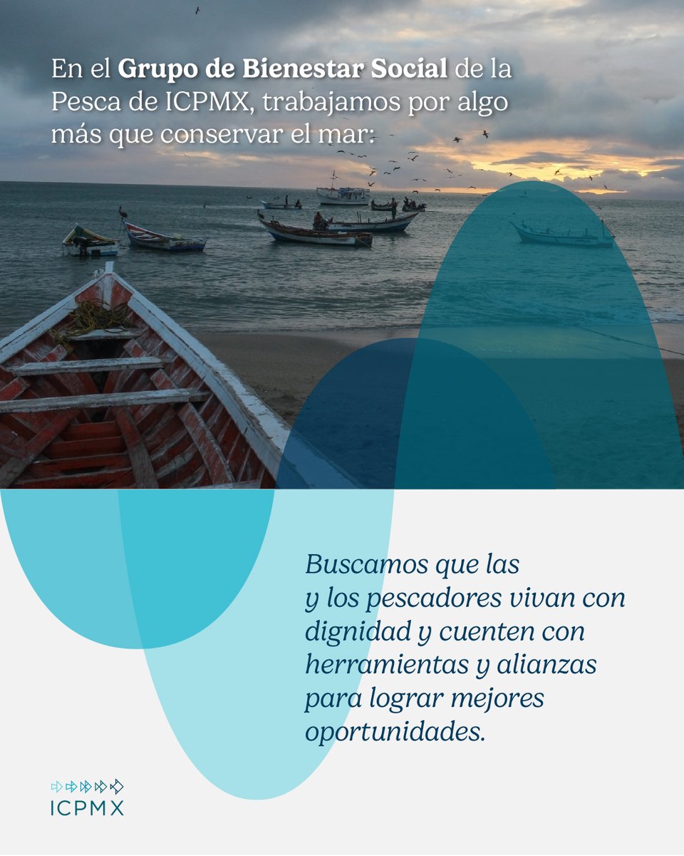 En el Grupo de Bienestar Social de la Pesca en ICPMX nos enfocamos en visibilizar lo significa el bienestar social para las comunidades, cuáles son sus retos y necesidades reales y por qué es clave atenderlos para lograr una pesca más justa y sostenible.