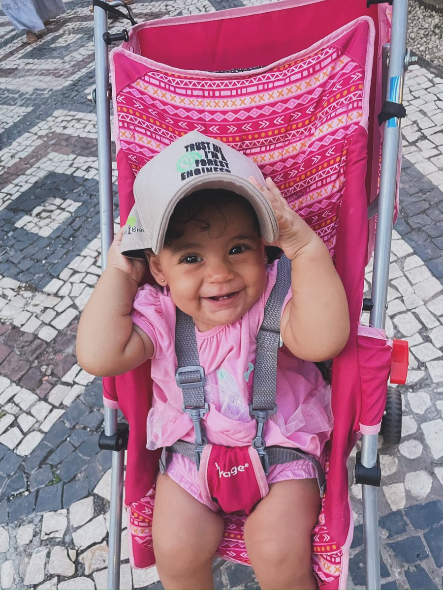 ReureMacena's tweet photo. Mini Floresteirinha 🌳❤️ https://t.co/v3cZJuTPwm