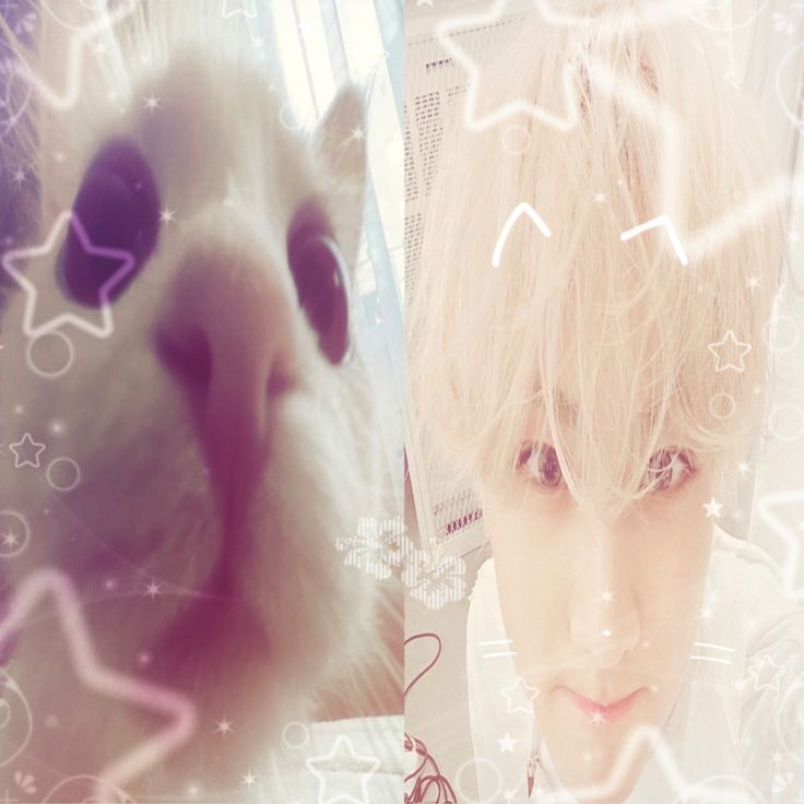 𝓙𝓦 tweet media