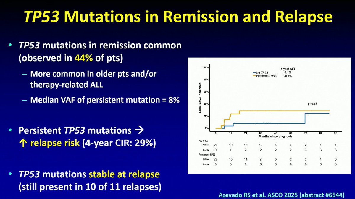 ALL_Hub_'s tweet photo. CONGRESS | #SOHO2025 | PRESENTATION
@NicholasShortMD @MDAndersonNews discusses the impact of TP53 abnormalities on outcomes in ALL, and considerations for optimal treatment.
Data have demonstrated that the prognostic impact of TP53 mutations is dependent on age and VAF (VAF ≥45% = high risk). He notes that therapy-related myeloid neoplasms (t-MN), driven by TP53 clonal hematopoiesis, can occur following TP53m AML treatment, and that novel strategies are required to reduce relapse risk and prevent t-MN.
Follow our live feed for more updates: https://t.co/N9rgegvkAp
#ALLsm #leusm #MedEd #MedNews
