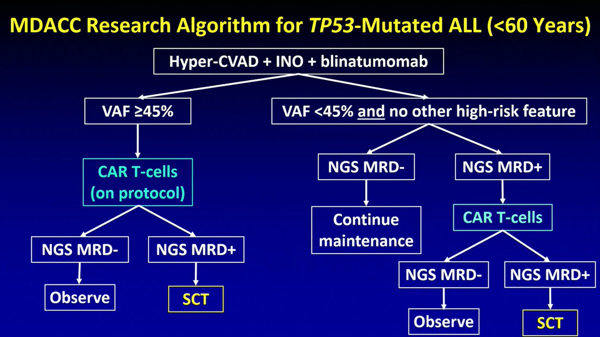 ALL_Hub_'s tweet photo. CONGRESS | #SOHO2025 | PRESENTATION
@NicholasShortMD @MDAndersonNews discusses the impact of TP53 abnormalities on outcomes in ALL, and considerations for optimal treatment.
Data have demonstrated that the prognostic impact of TP53 mutations is dependent on age and VAF (VAF ≥45% = high risk). He notes that therapy-related myeloid neoplasms (t-MN), driven by TP53 clonal hematopoiesis, can occur following TP53m AML treatment, and that novel strategies are required to reduce relapse risk and prevent t-MN.
Follow our live feed for more updates: https://t.co/N9rgegvkAp
#ALLsm #leusm #MedEd #MedNews