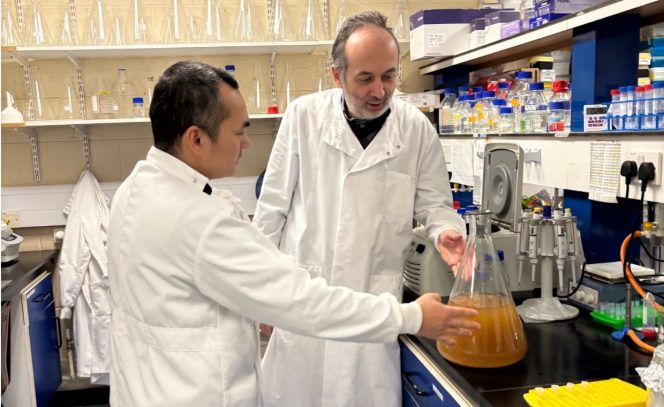 Maynooth University tweet media