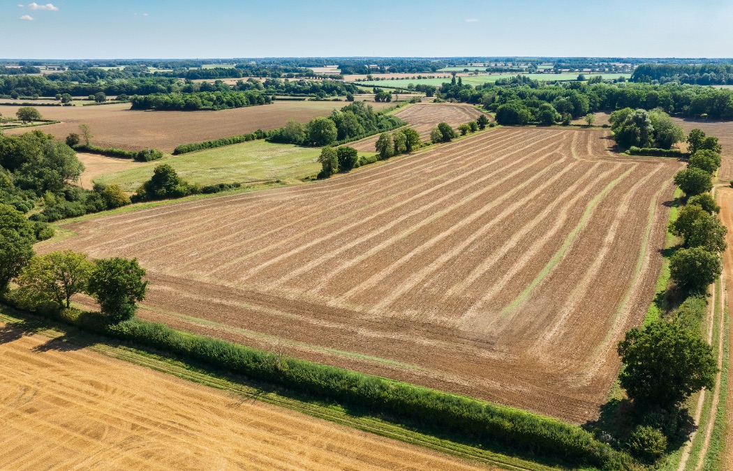 CeresProperty's tweet photo. New: Land at Church Farm, Reymerston, Norfolk
176-acre ring-fenced block of productive #arableland, #woodland, #grassland and ecological features.
π peter.mason@ceresproperty.co.uk | 07756 289597
π Particulars: https://t.co/xMbLkC1Cba
#LandForSale #FarmSale #LandSale https://t.co/JjXoyvldRB