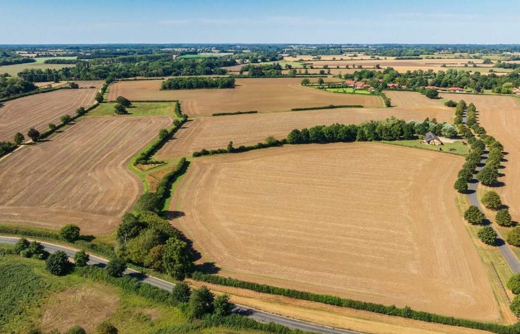 New: Land at Church Farm, Reymerston, Norfolk

176-acre ring-fenced block of productive #arableland, #woodland, #grassland and ecological features.

📞 peter.mason@ceresproperty.co.uk | 07756 289597

📖 Particulars: loom.ly/d-RdCNc

#LandForSale #FarmSale #LandSale