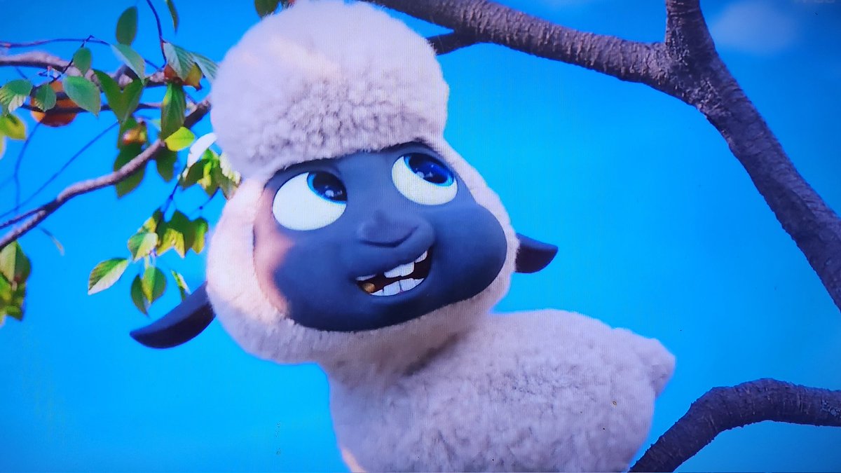 羊の赤ちゃんなんでそんなとこにwww #ペット2