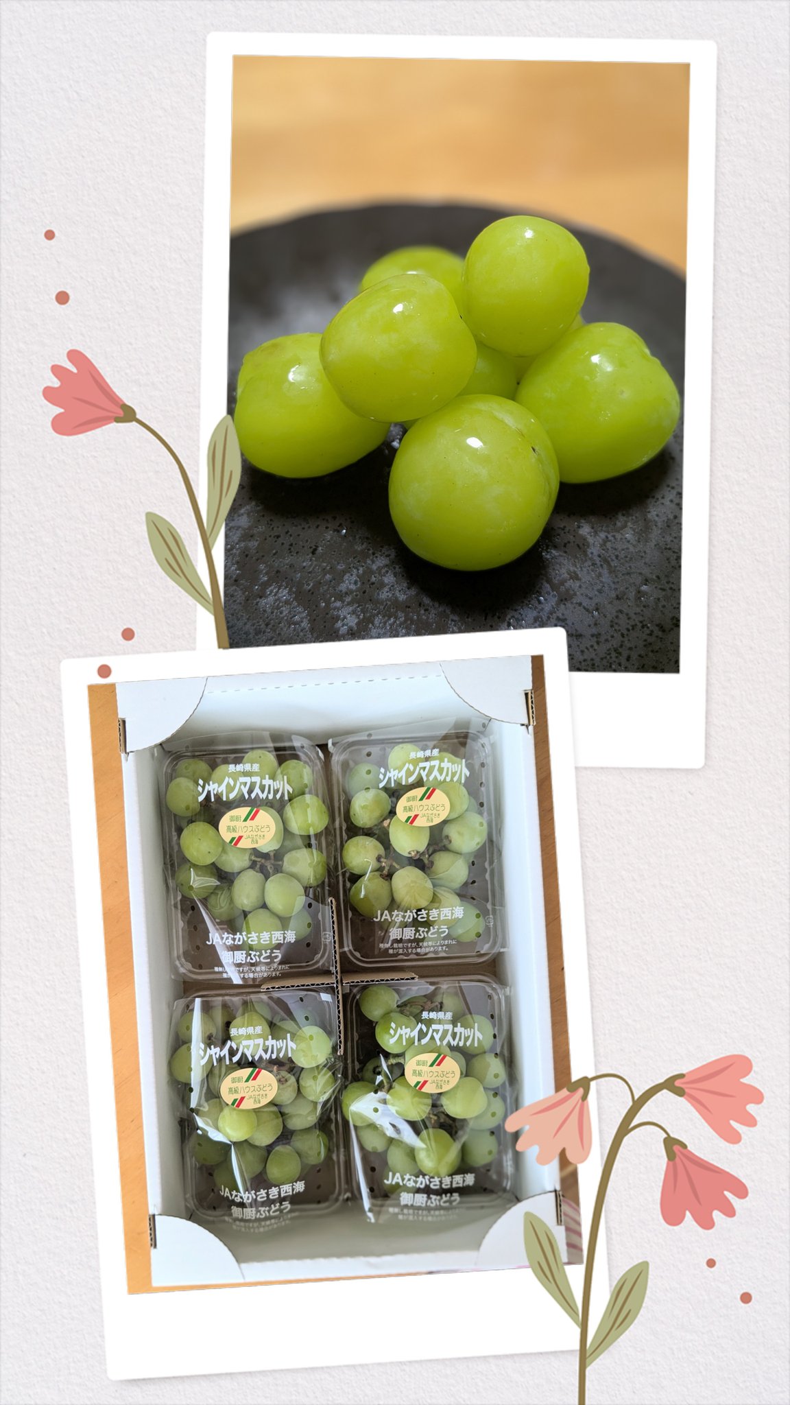 Chocolate♡値下げ交渉受付ます♡Q.kid 料理王シリーズ 13体 Chocolate♡値下げ交渉受付ます♡様専用Q.kid 料理王シリーズ 13体