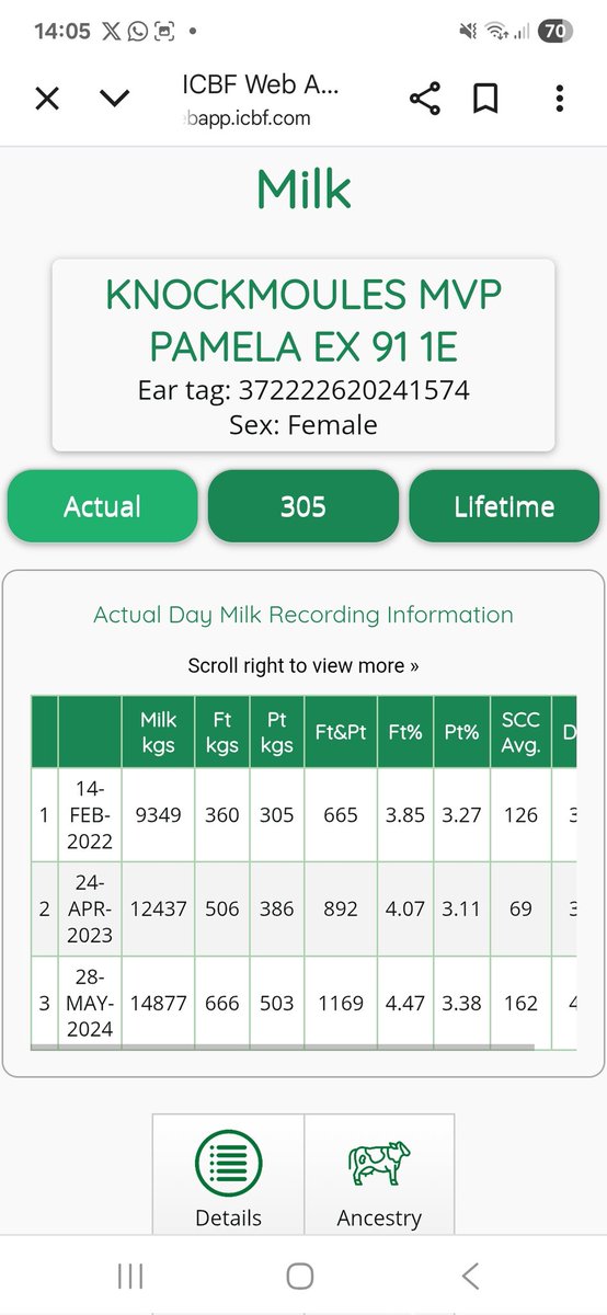 Knockmoules Holsteins tweet media