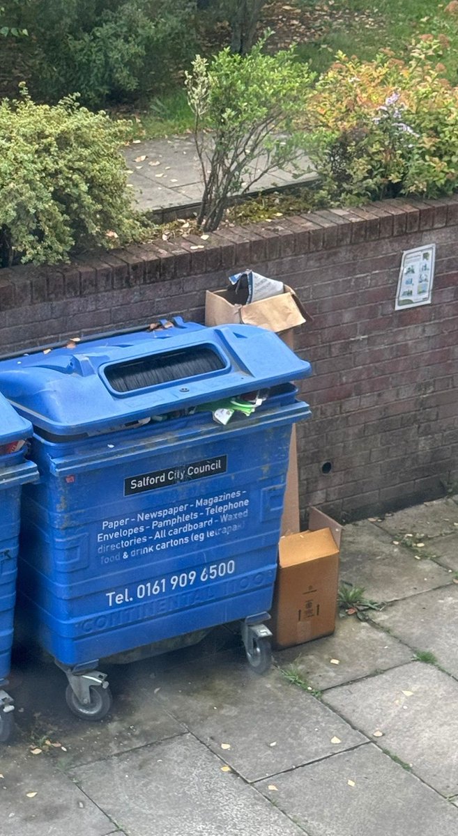 Gabe Prov tweet media